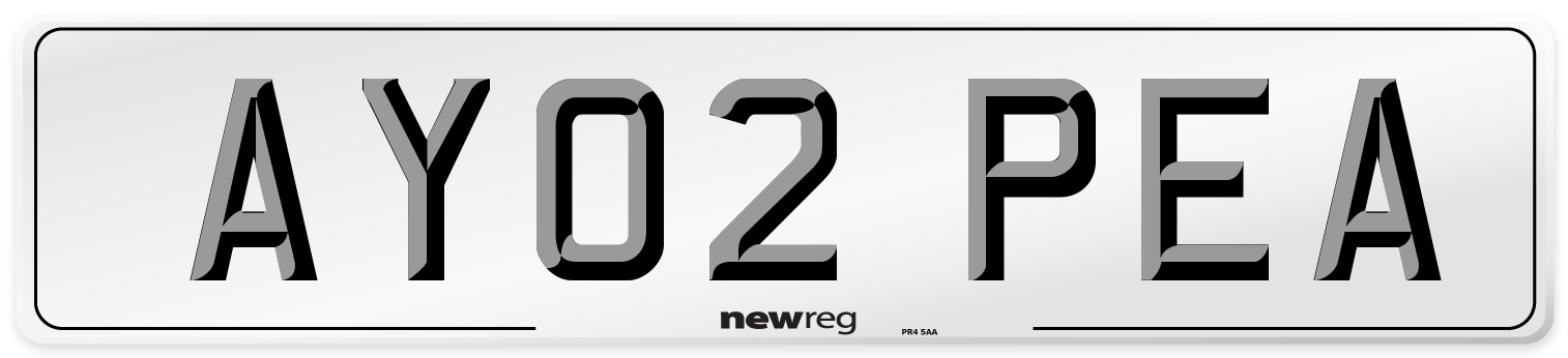 AY02 PEA Number Plate from New Reg